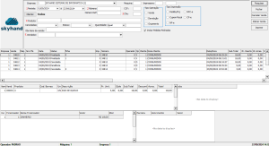 MItem Consulta Vendas Filtros.png